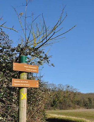 PR 21-Sur les pas de Corot à Coubron