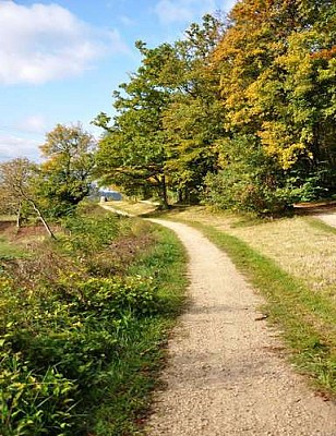 PR 21-Sur les pas de Corot à Coubron