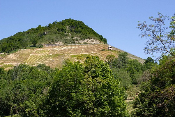 Village de Montagnieu