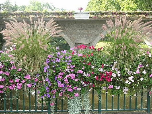 Saint Galmier Ville fleurie 4 fleurs