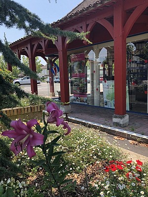 office-de-tourisme-massif-fleurs1-hauteur