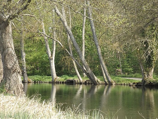Domaine départemental de Chamarande