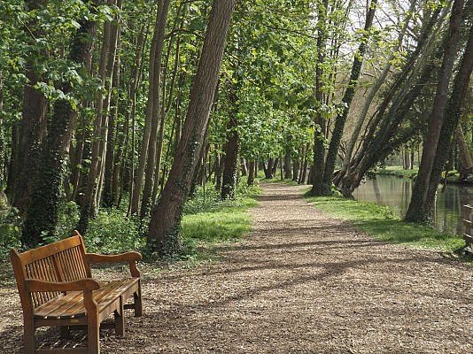 Domaine départemental de Chamarande