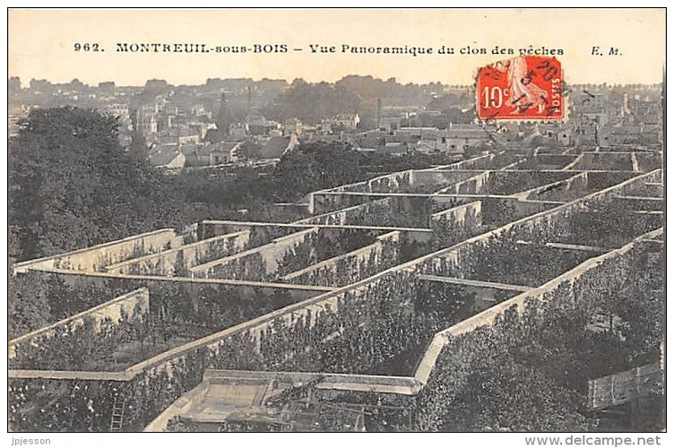 Les murs à pêches de Montreuil