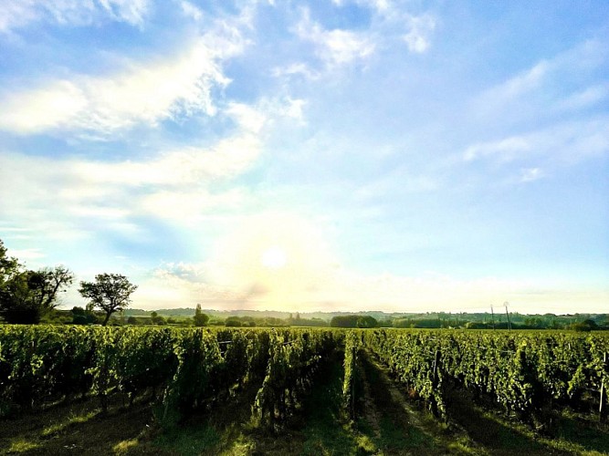 SIRTAQUI 800X600 - 1