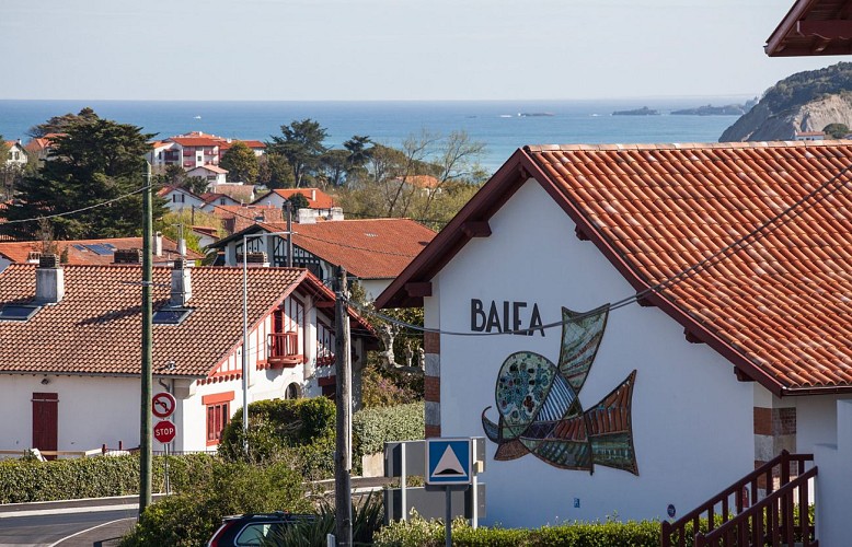 Hôtel Balea