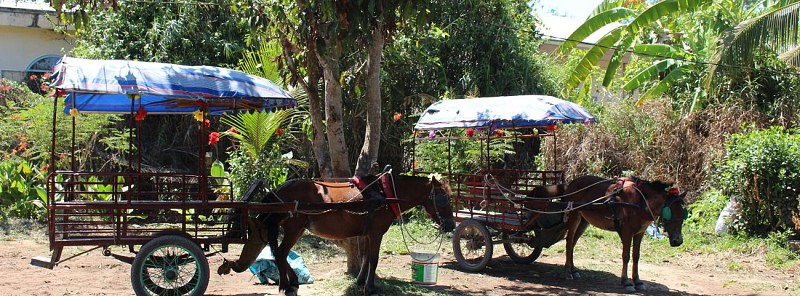 Excursion on the Mekong Delta and Traditional Lunch - Departure from Ho Chi Minh City