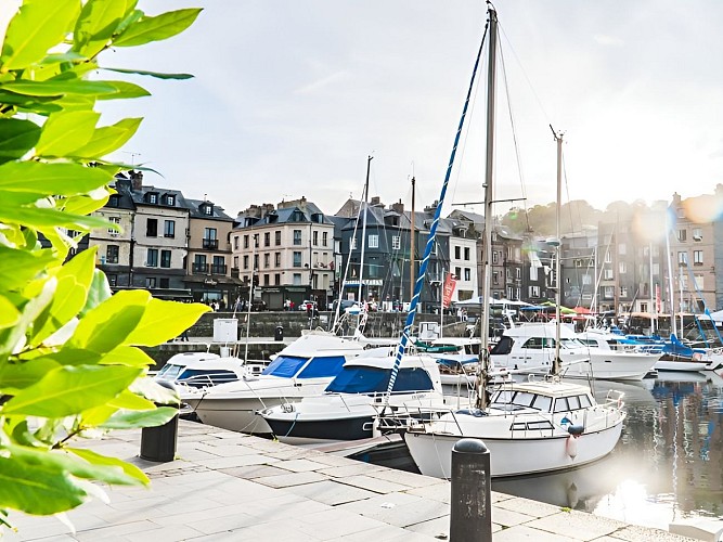 Vieux-Honfleur-9-2020