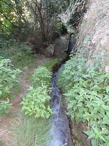 Le passage proposé longe le canal. 