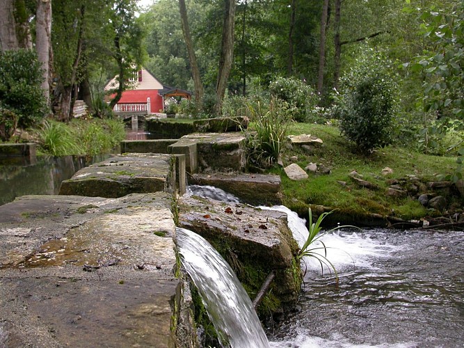 Gîte du moulin - Vue rivière - Moulin d'Eysus