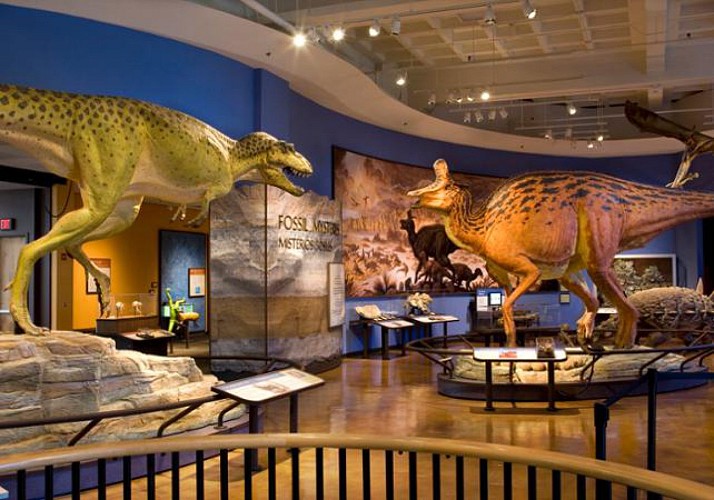Billet Musée d’Histoire Naturelle - San Diego