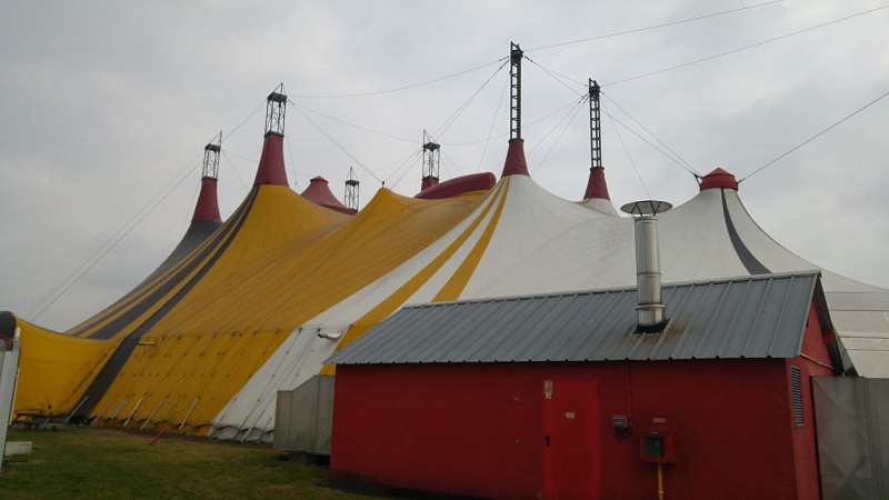 La ferme pédagogique, l'école du cirque