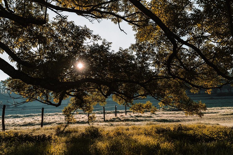 2024 Ambly - Nassogne - Xavier Ethuin 22