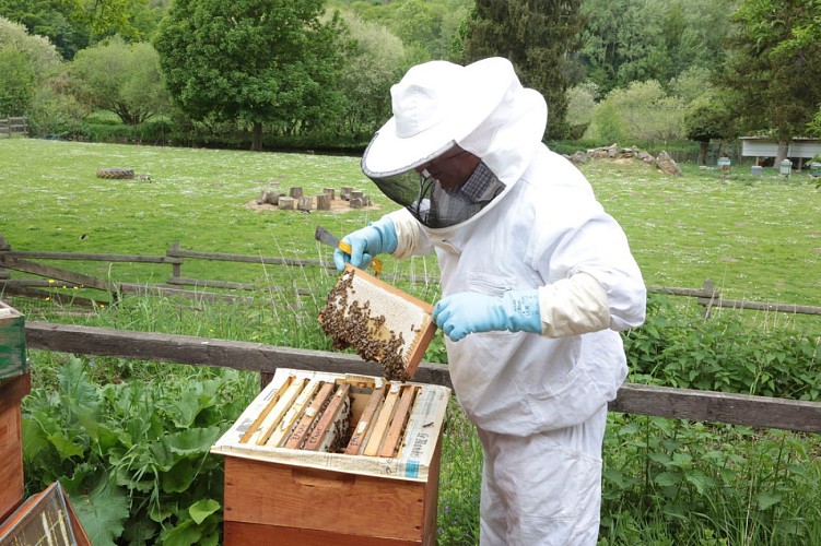 Val d'Essonne beekeeper society