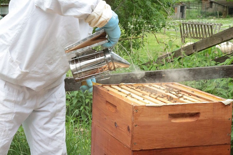 Val d'Essonne beekeeper society