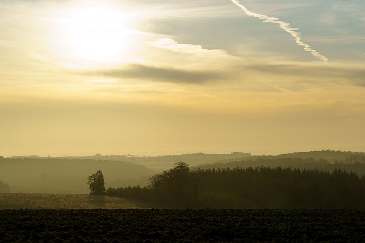 MtFA_Lavis_10112021_0010