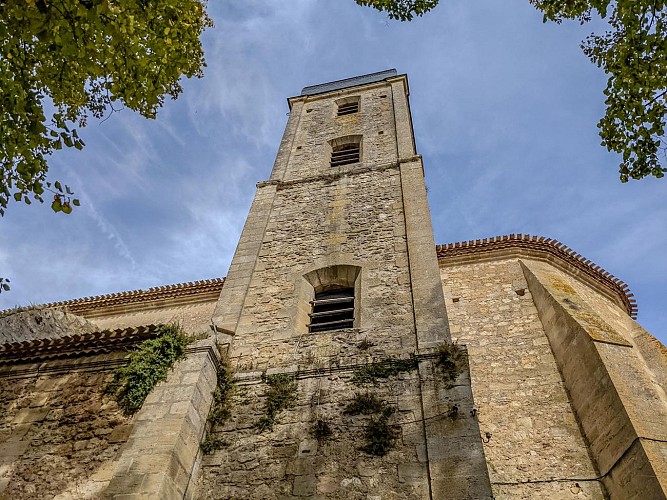 PXL_20201019_112251257