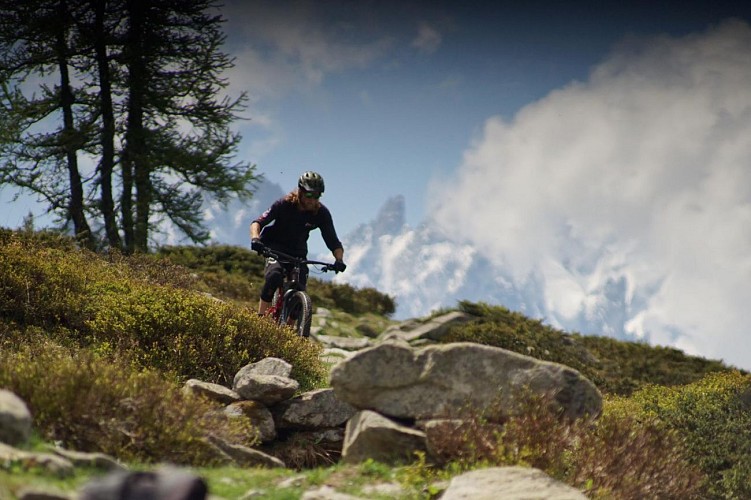 Riding Zone / Alpin Bike (skimium)