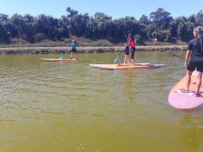 SORTIE PADDLE