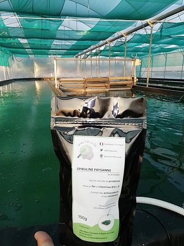 66736334-697626617374516-1716800137331736576-n