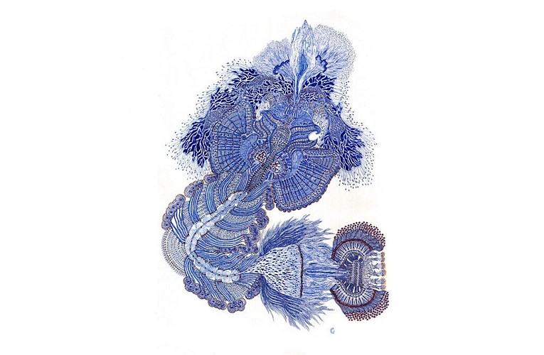 catherine-garrigue-2