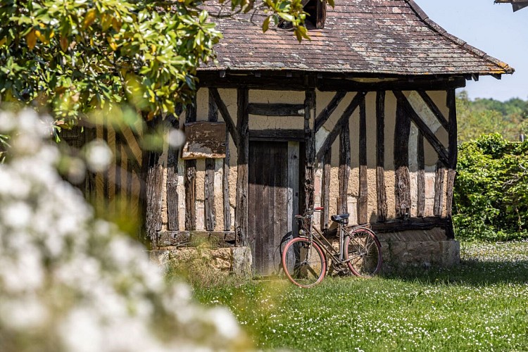 CDT 24 - Musée André Voulgre - Mussidan