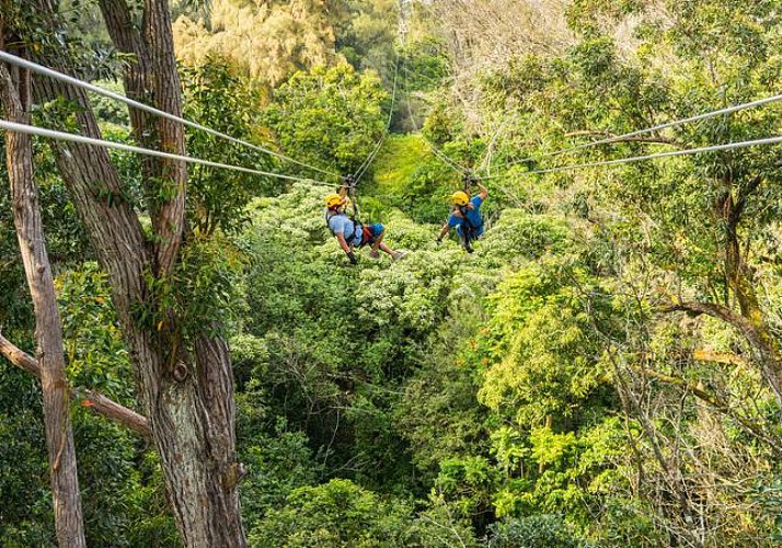 Treetop Adventure Course in the Kohala region (North of Big Island) - Hawaii