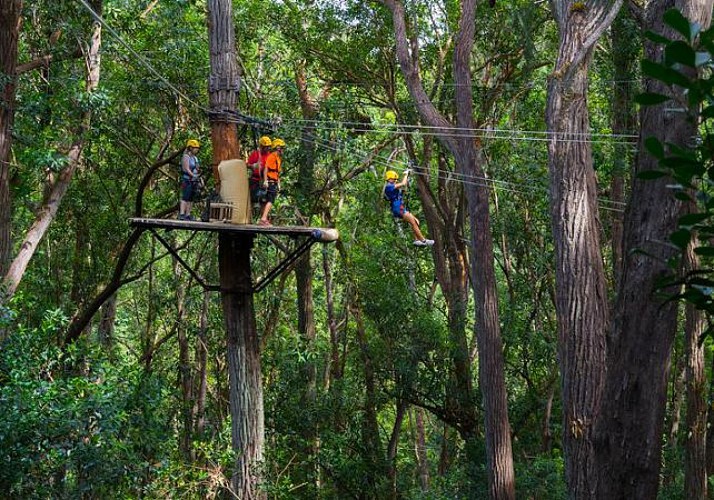 Treetop Adventure Course in the Kohala region (North of Big Island) - Hawaii