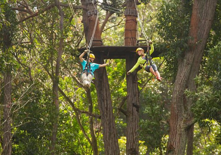 Treetop Adventure Course in the Kohala region (North of Big Island) - Hawaii