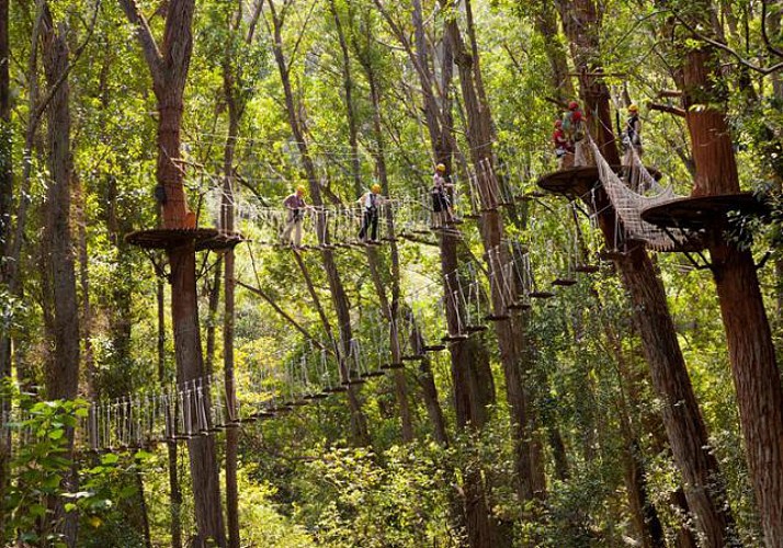 Treetop Adventure Course in the Kohala region (North of Big Island) - Hawaii