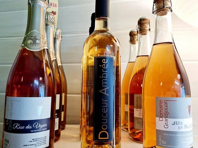 LE DOMAINE GRANDJOUAN