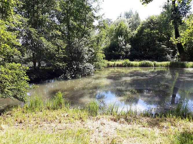 Les étangs de Saint Pancras