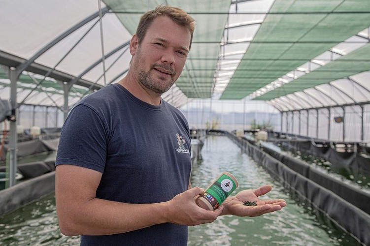 La Spiruline des Vikings