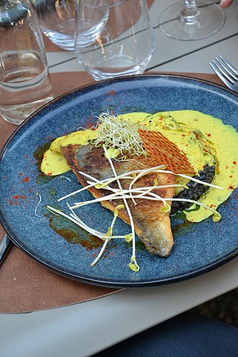 Copie de DSC_0058 (2)