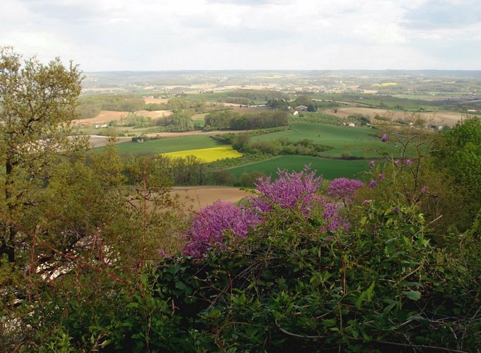 Vue-de-monsegur-2012-Mme-Gardes--800x600-