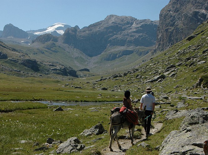 Hike with a donkey and overnight stay in a mountain hut