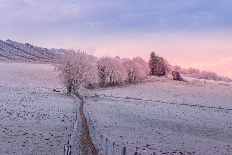 La Capelette de St Ferréol
