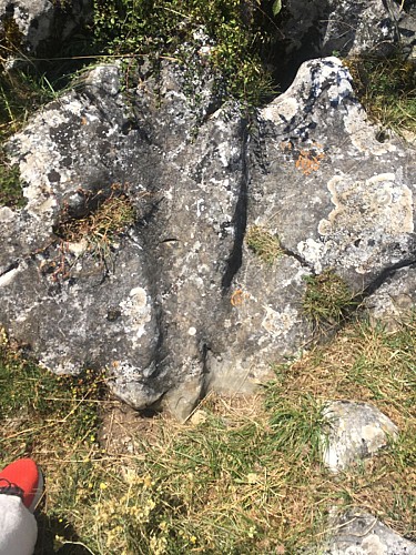 La Capelette de St Ferréol