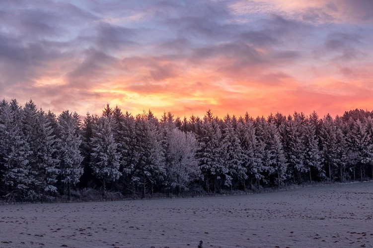 La Capelette de St Ferréol