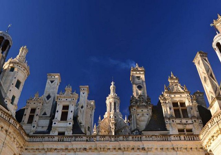 Skip-the-line tickets for the Château de Chambord and its french gardens