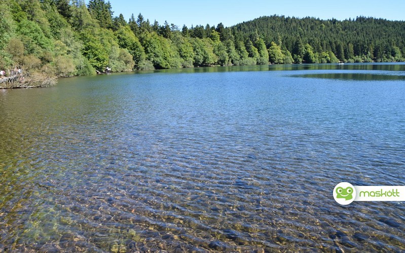 Un lac dont le niveau a varié