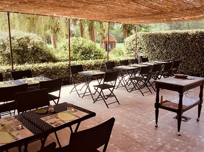 Brin-de-thym-terrasse