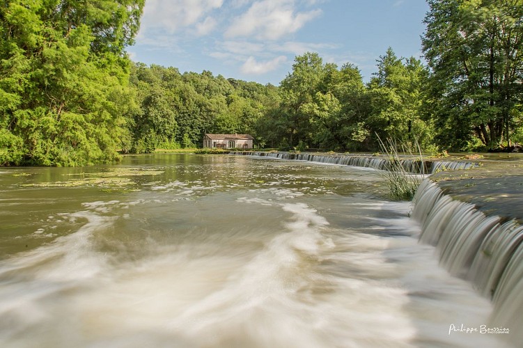 Domaine du Château des Loups - Les Pommiers