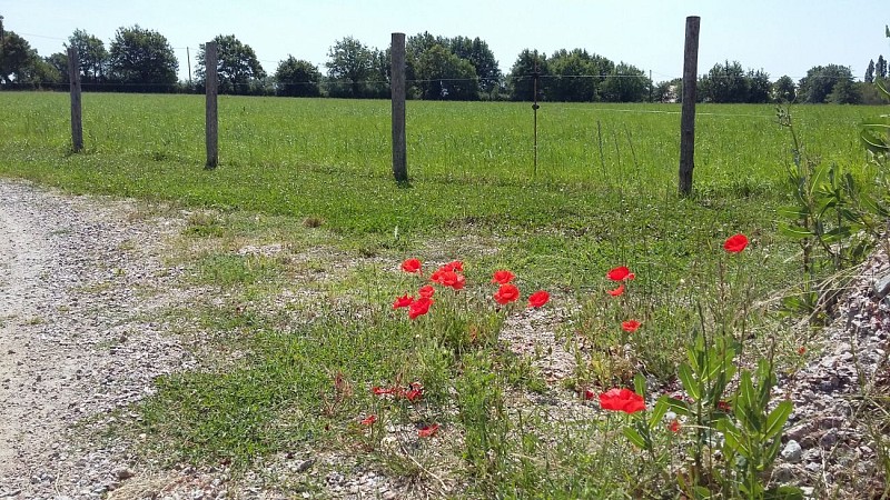 bressuire-noirterre-gite-la-taconniere