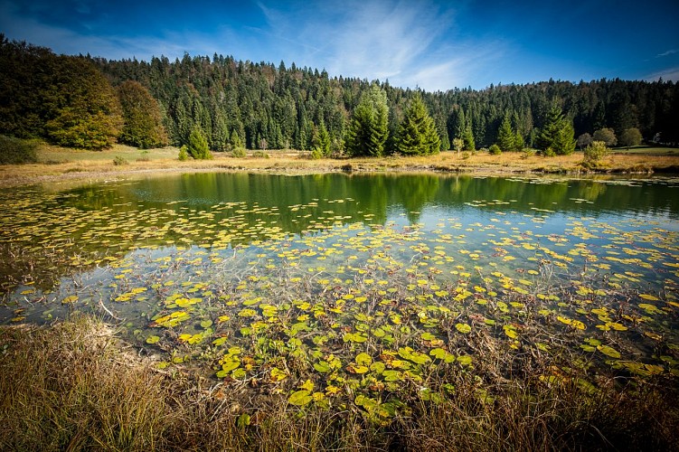 Lac Genin et ses tourbières