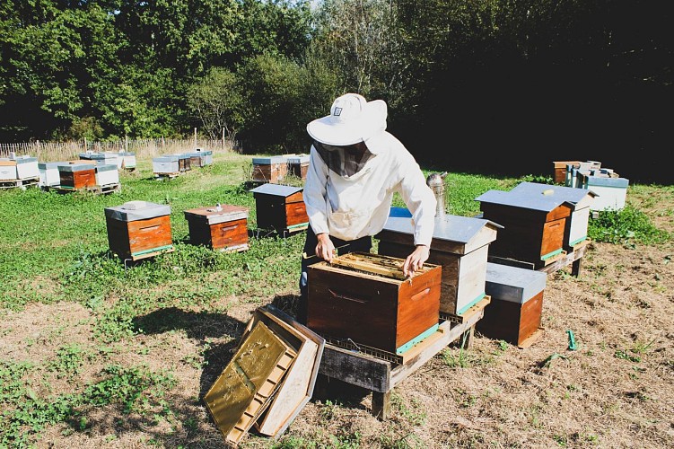 Ferme de Kerhué - Miel et produits de la ruche