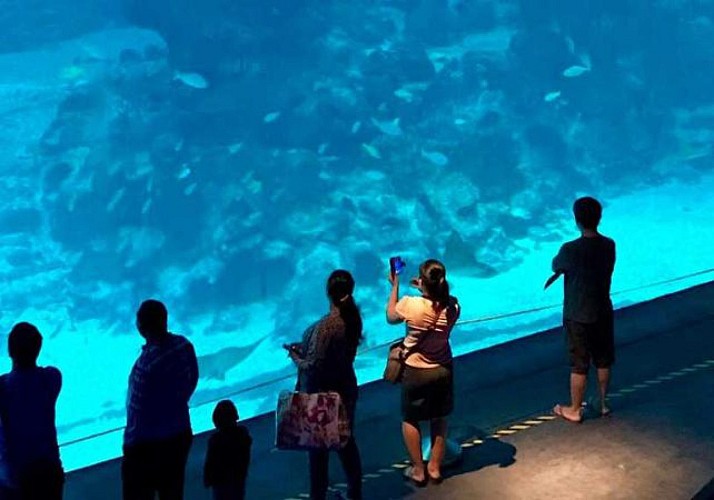Billet SEA  Aquarium - Singapour