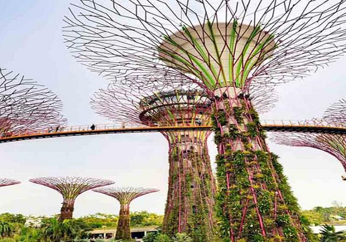 Gardens by the Bay ticket - Flower garden and Cloud dome - Singapore