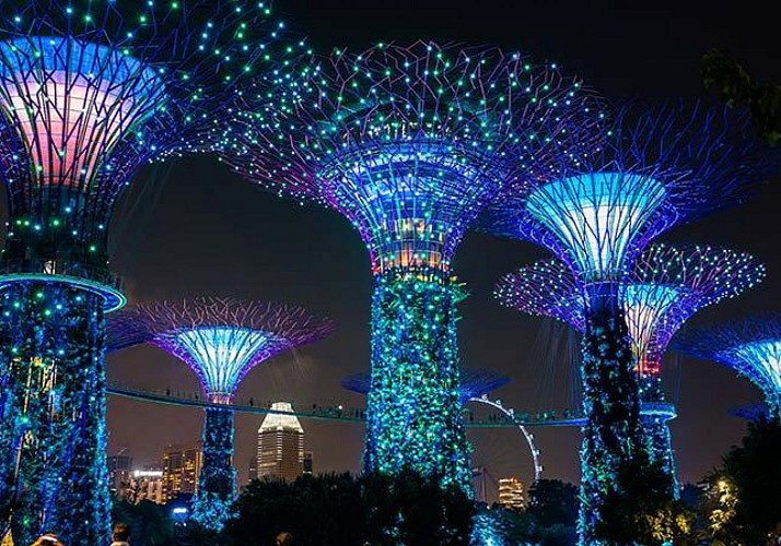 Billet Gardens by the Bay - Dômes et Supertrees - Singapour