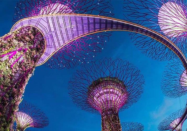 Billet Gardens by the Bay - Dômes et Supertrees - Singapour